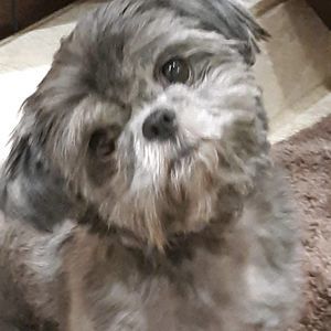 Meet your Posher, Drea